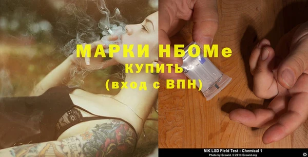индика Семёнов