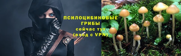 прущая мука Богородск