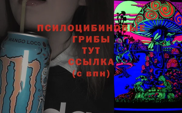 соль ск Бронницы